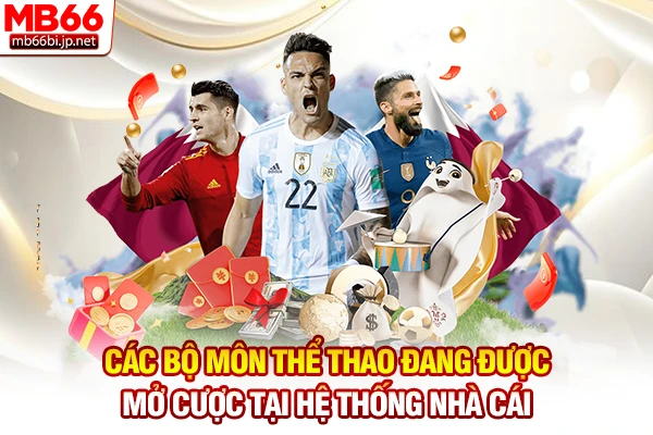 Các bộ môn thể thao đang được mở cược tại hệ thống nhà cái