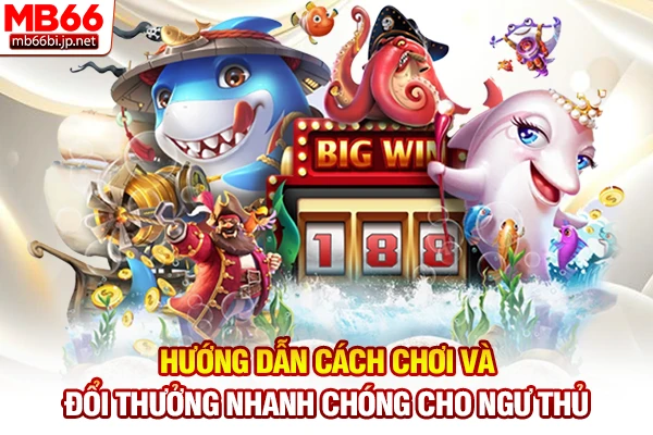 Hướng dẫn cách chơi và đổi thưởng nhanh chóng cho ngư thủ