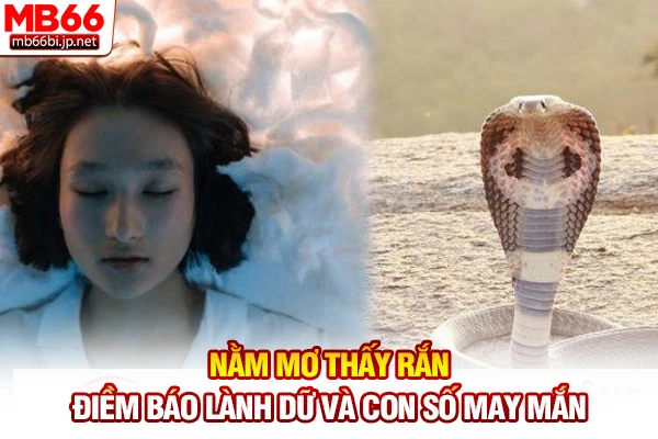 Nằm Mơ Thấy Rắn - Điềm Báo Lành Dữ Và Con Số May Mắn