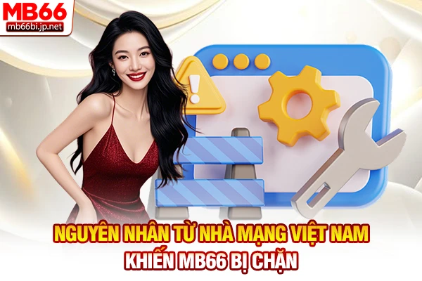 Nguyên nhân từ nhà mạng Việt Nam khiến MB66 bị chặn