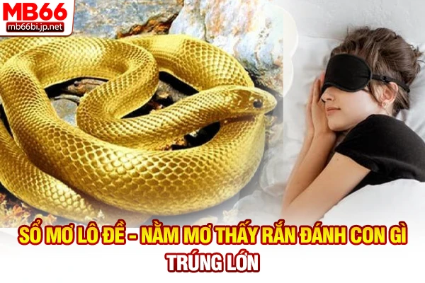 Sổ mơ lô đề - Nằm mơ thấy rắn đánh con gì trúng lớn